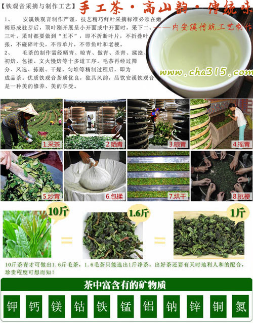 铁观音毛茶和铁观音净茶