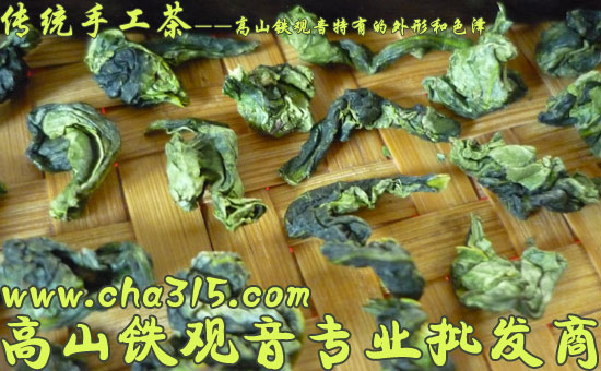 寒露铁观音