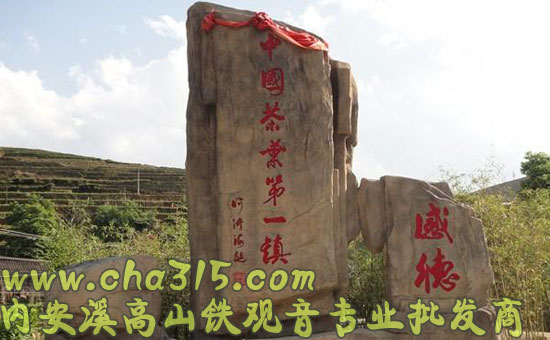 铁观音工夫茶泡法